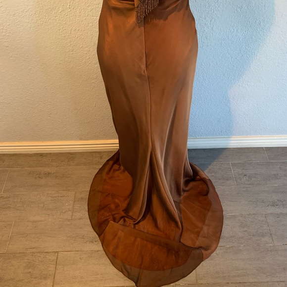 Cache Evening Gown - Picture 6 of 8